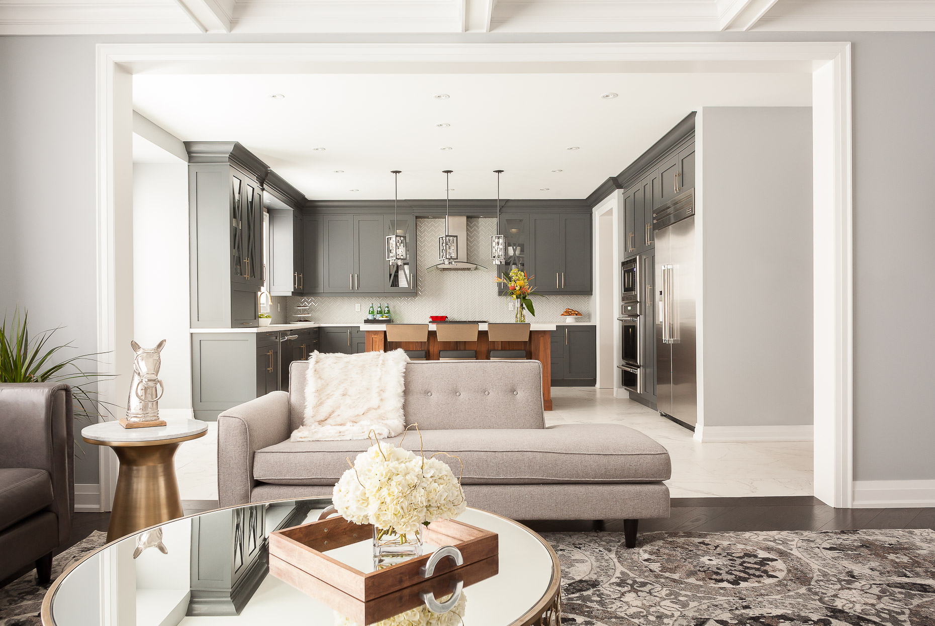 Contemporary Living Room and Kitchen